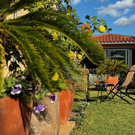 Villa Mihaela Fažana Exteriér fotografie